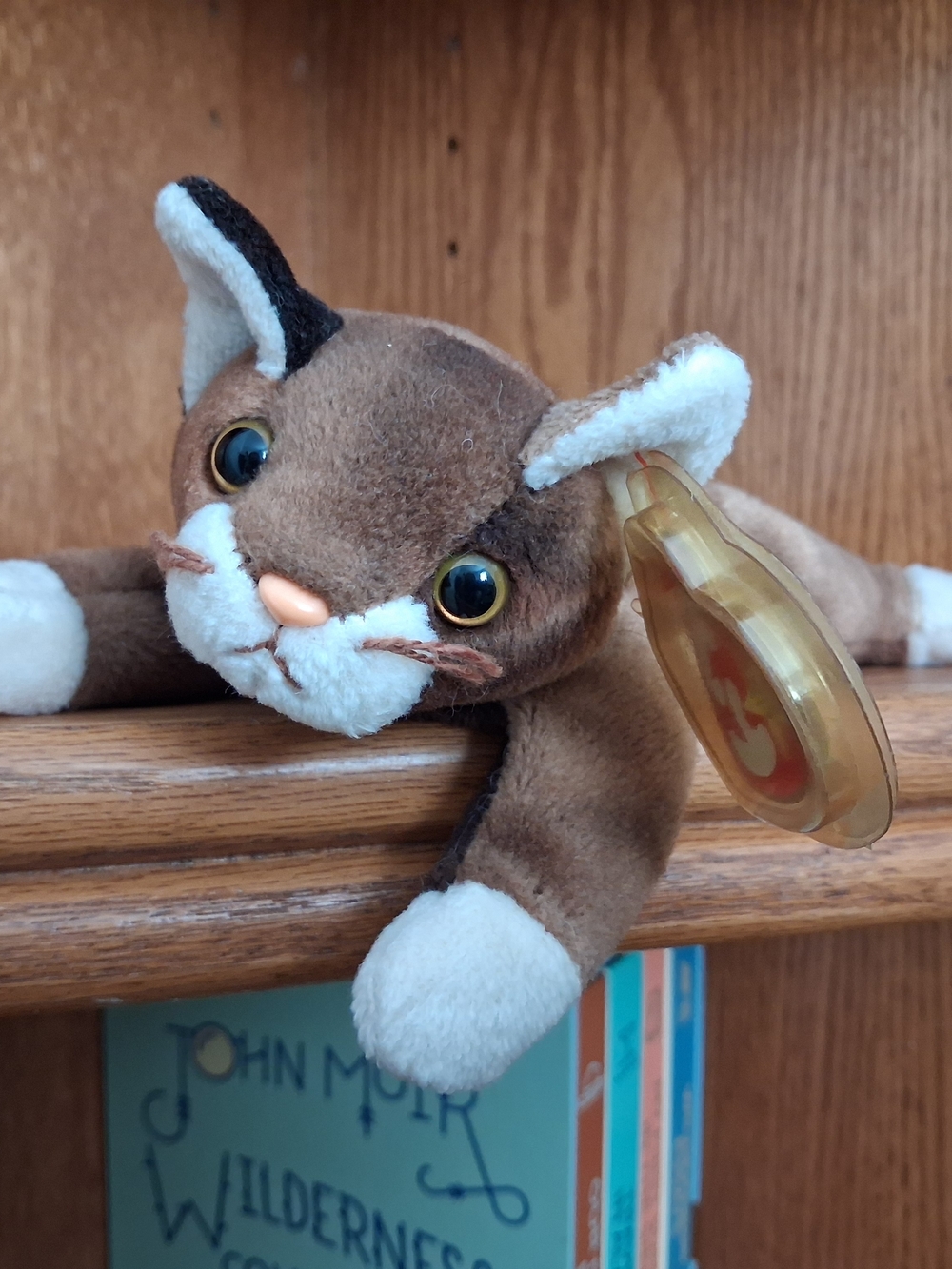 TY Beanie Baby Pounce 1997 | Original Plush Cat | Vintage